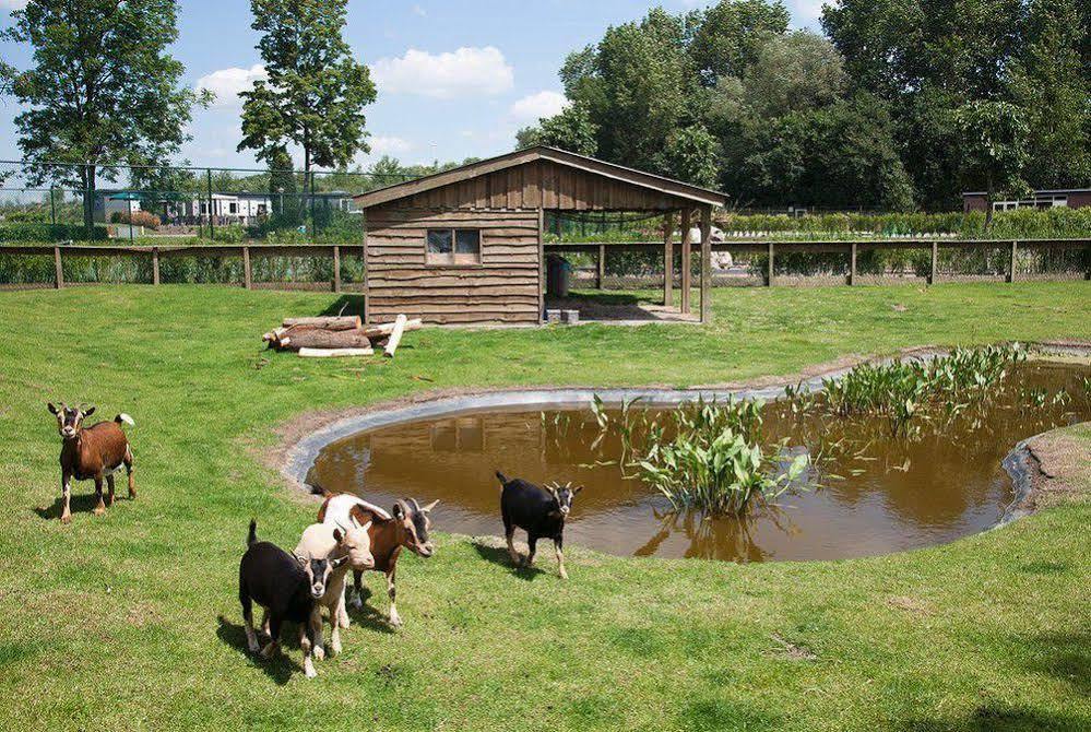 فندق Willemsdorpفي  Europarcs De Biesbosch المظهر الخارجي الصورة
